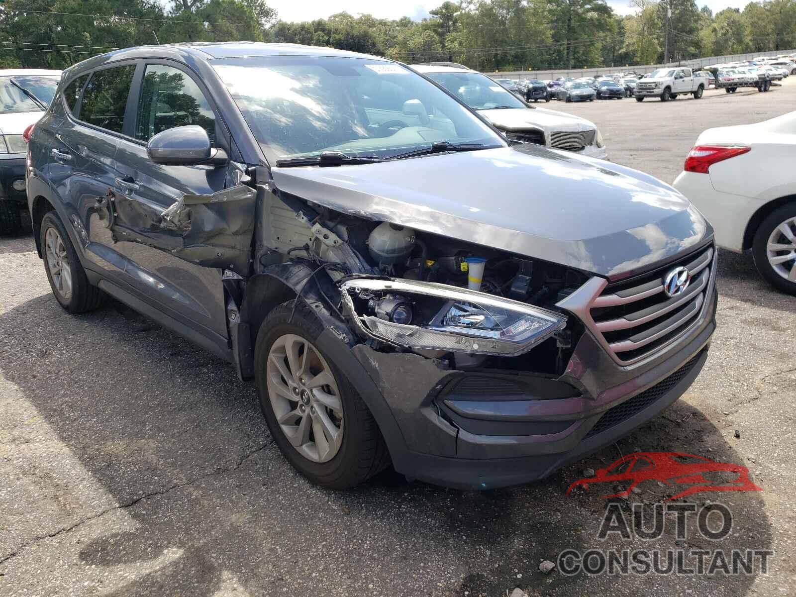 HYUNDAI TUCSON 2017 - KM8J23A44HU563862