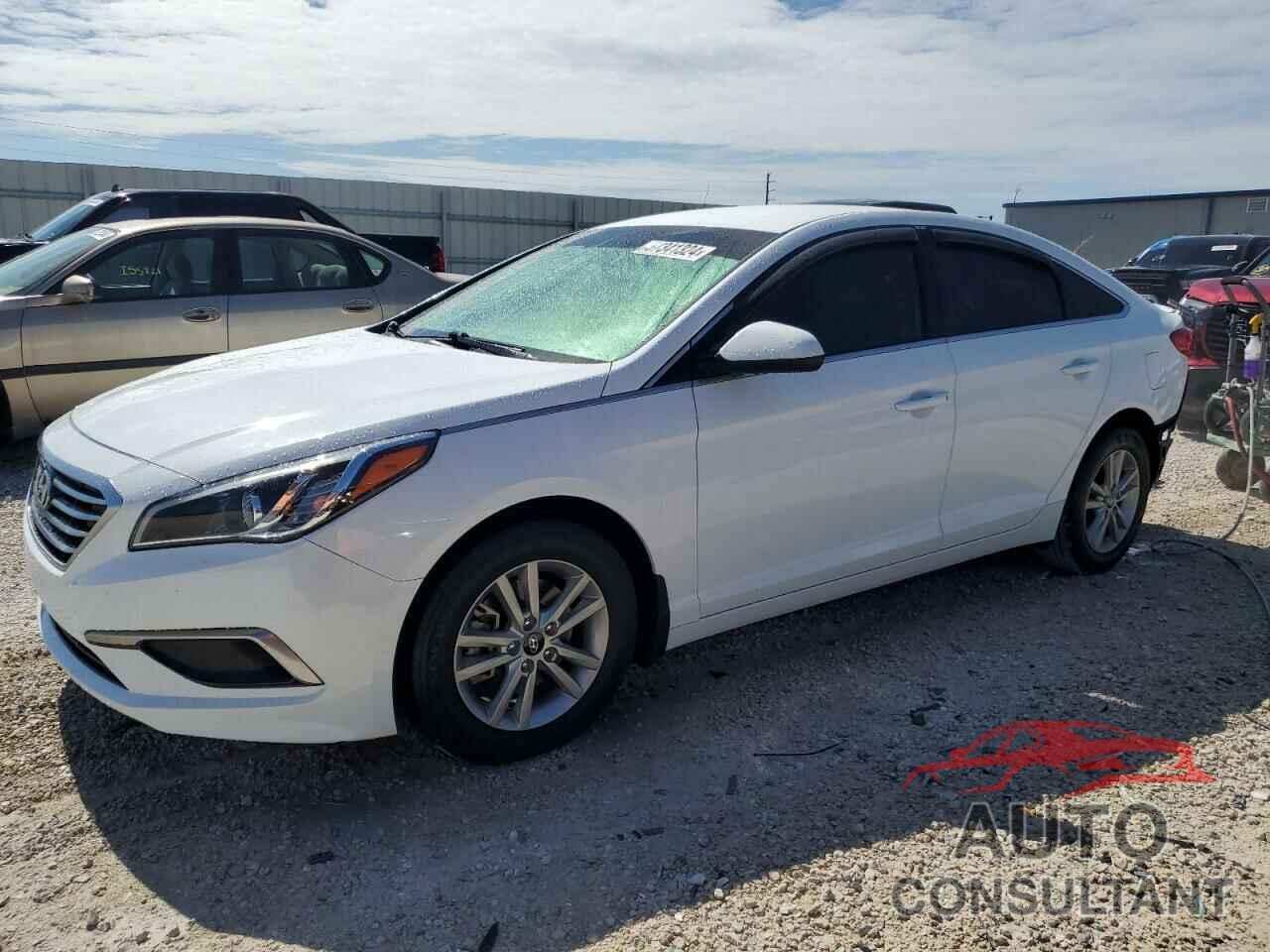 HYUNDAI SONATA 2017 - 5NPE24AF7HH463584
