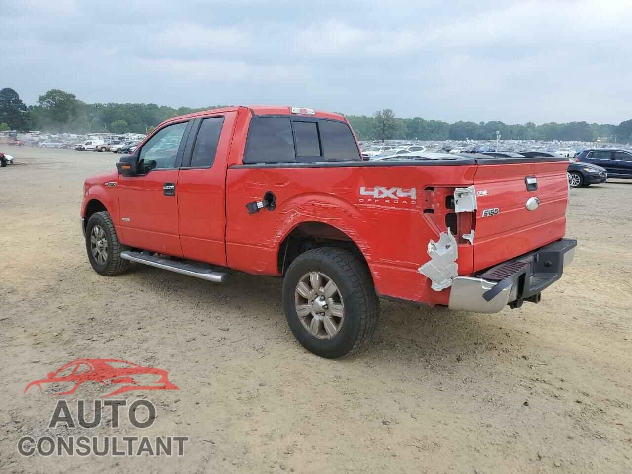 FORD F-150 2011 - 1FTFX1ET4BFD21229