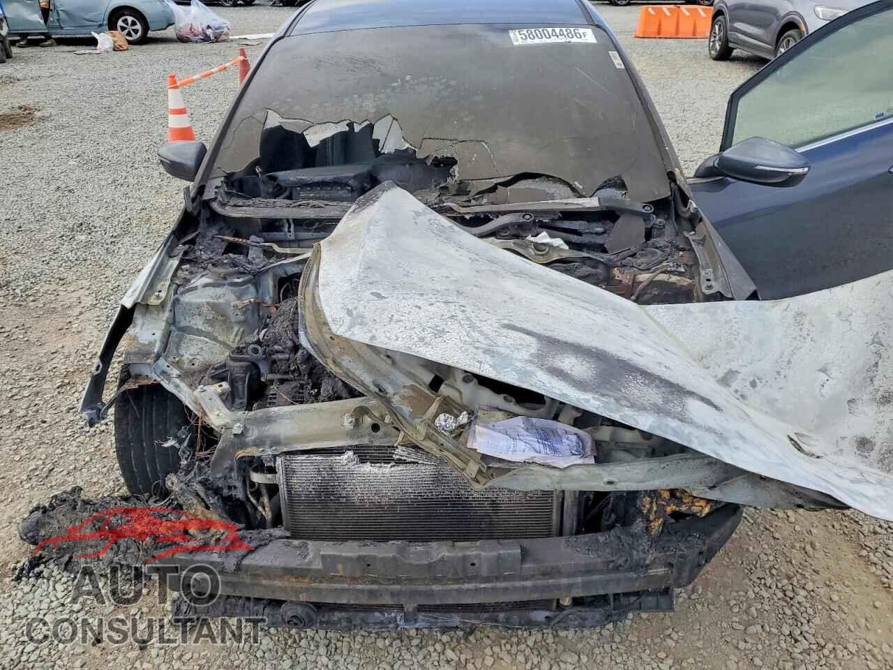 KIA FORTE 2016 - KNAFX4A89G5589934