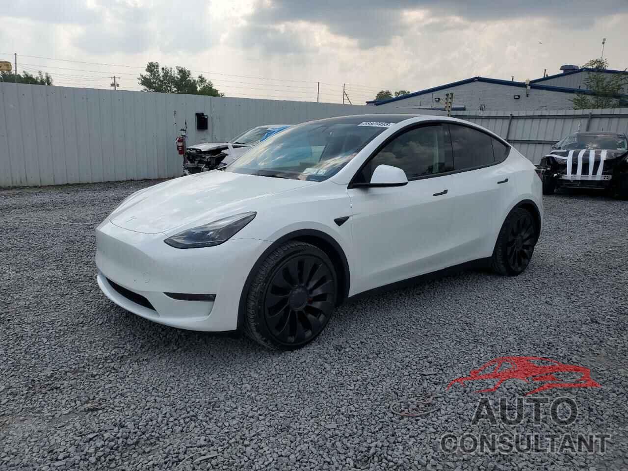 TESLA MODEL Y 2022 - 7SAYGDEF1NF445085