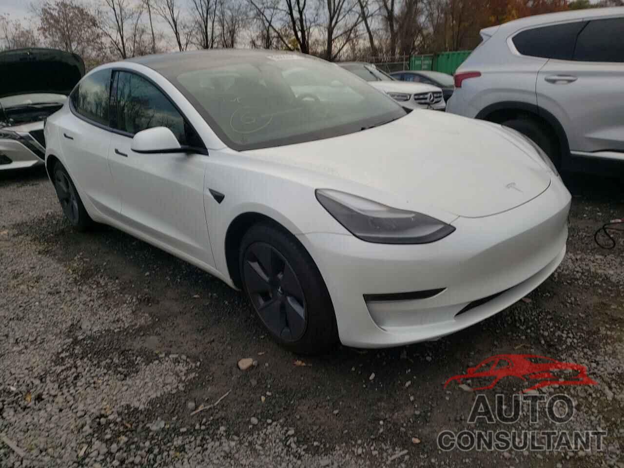TESLA MODEL 3 2021 - 5YJ3E1EA1MF961235