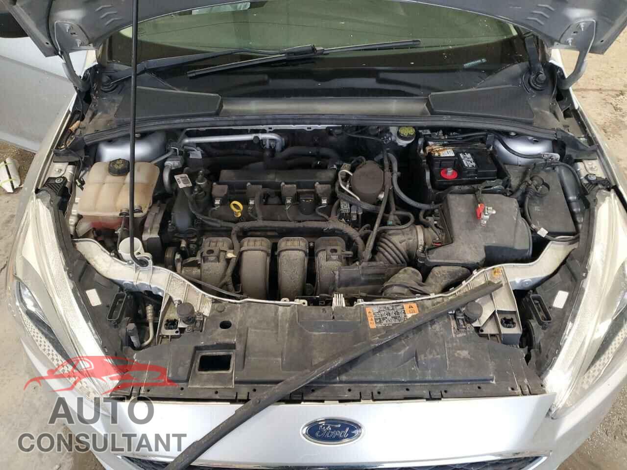 FORD FOCUS 2016 - 1FADP3E29GL224553
