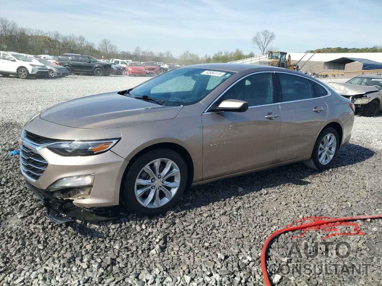 CHEVROLET MALIBU 2019 - 1G1ZD5ST8KF157509