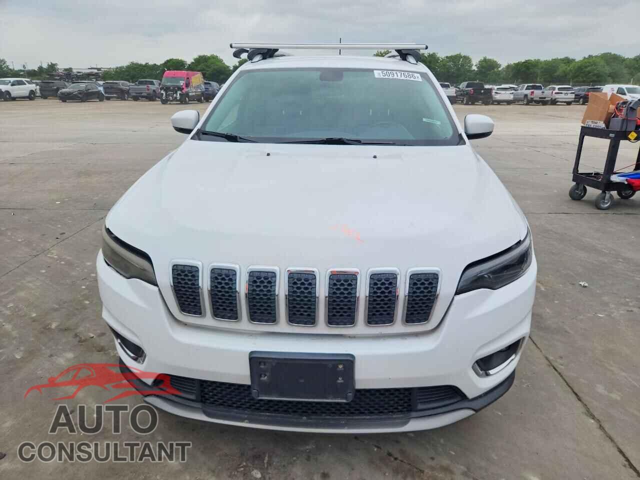 JEEP CHEROKEE 2019 - 1C4PJLDB0KD154065