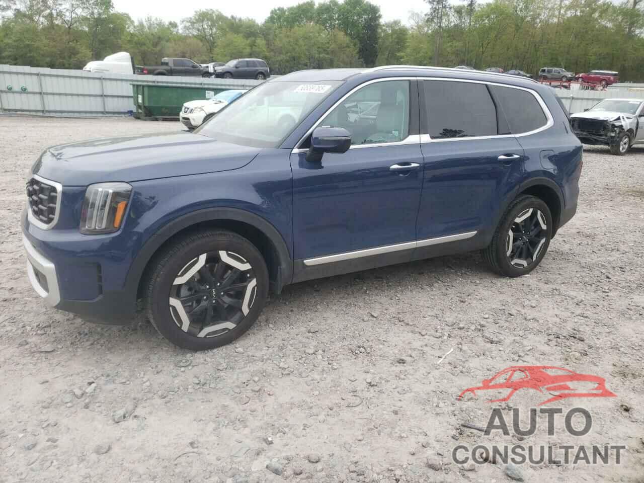 KIA TELLURIDE 2024 - 5XYP64GC5RG551861