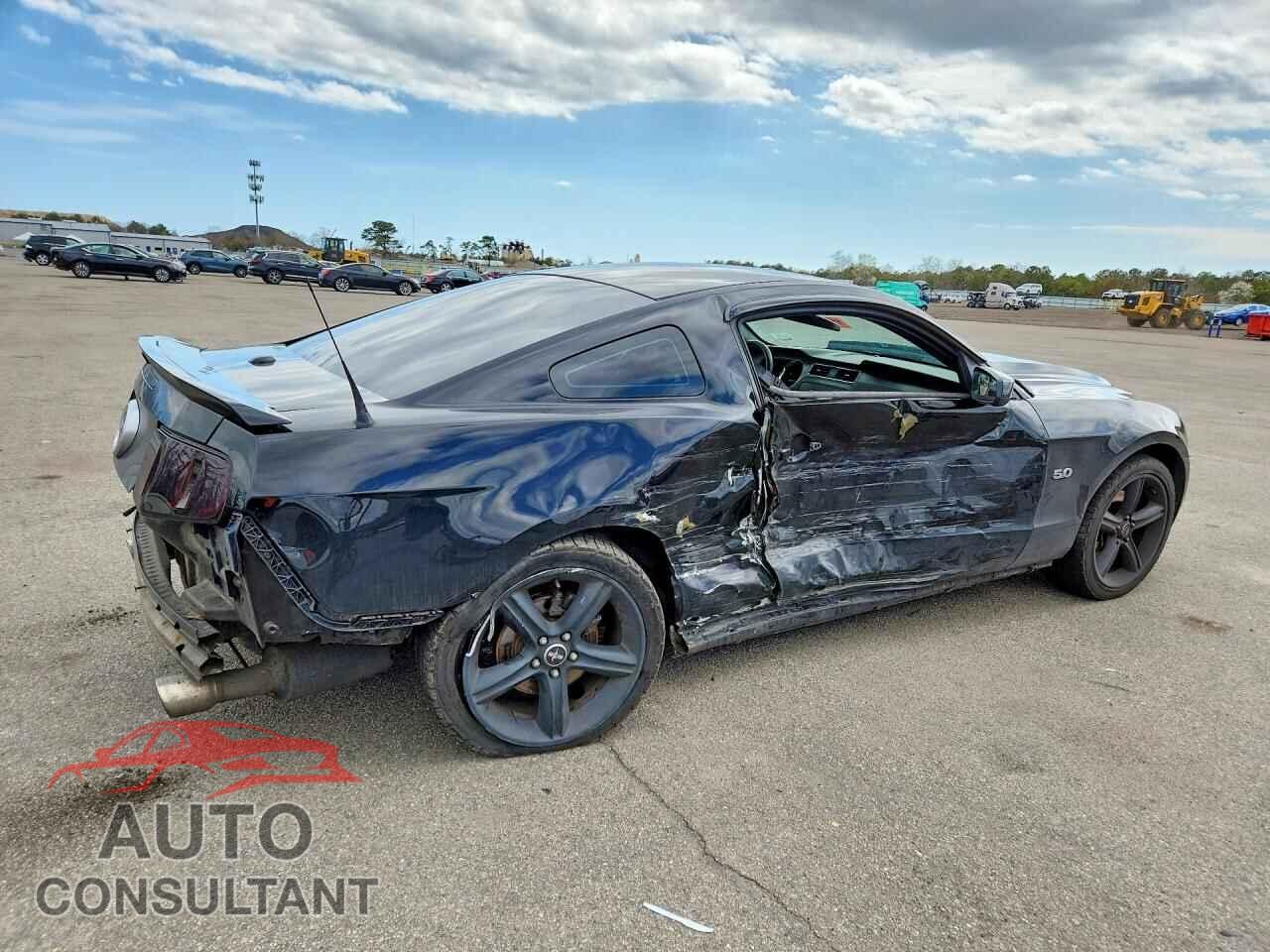 FORD MUSTANG 2011 - 1ZVBP8CF4B5163885
