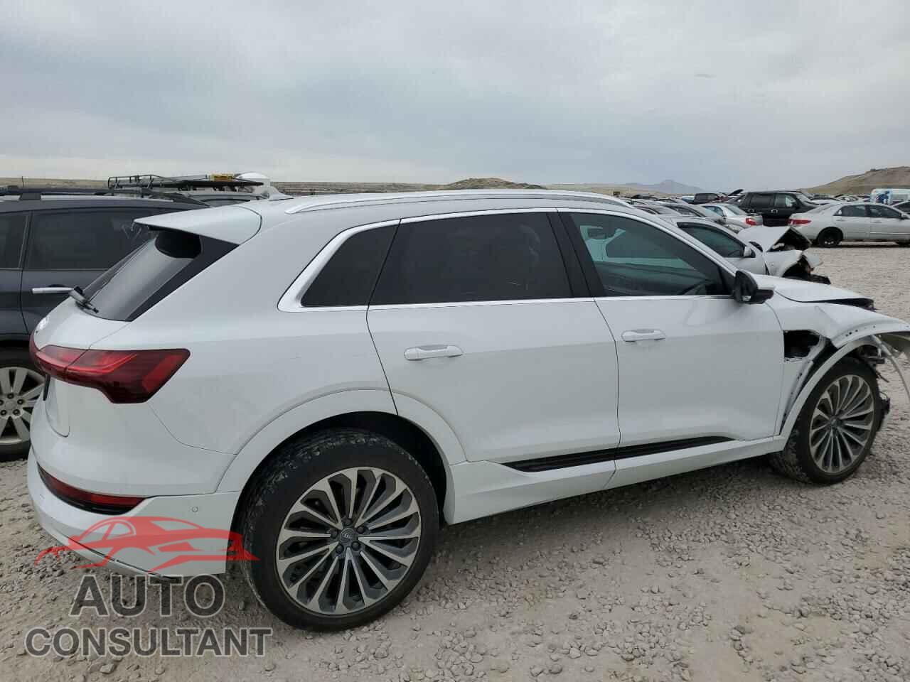AUDI E-TRON 2019 - WA1VABGE9KB021981