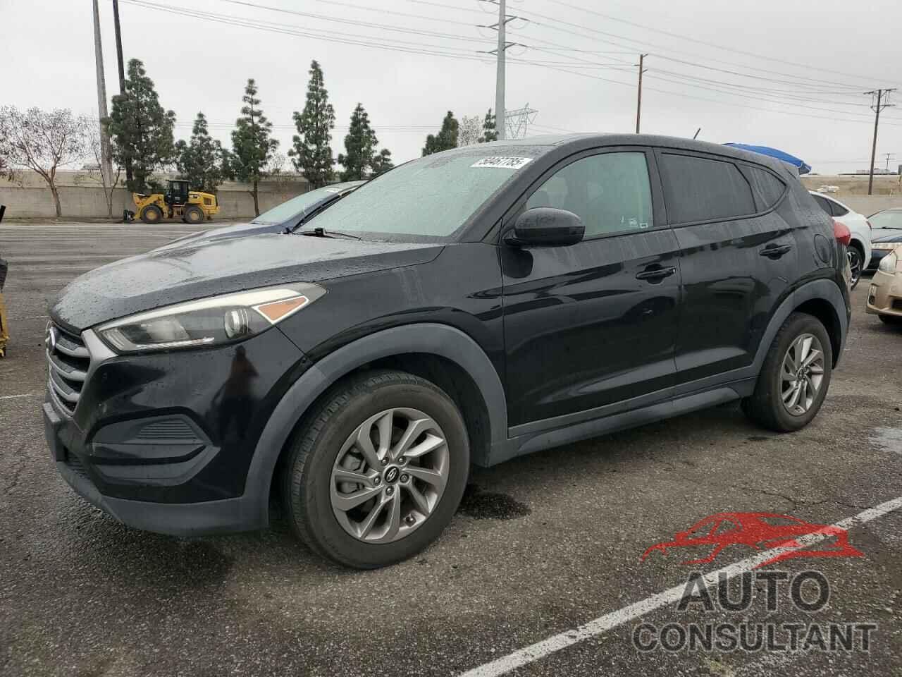 HYUNDAI TUCSON 2017 - KM8J23A46HU494981
