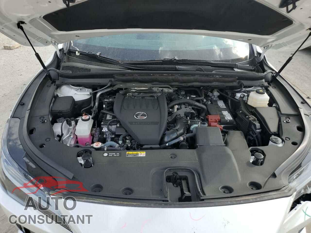 LEXUS RX350 2024 - 2T2BAMBA3RC031454