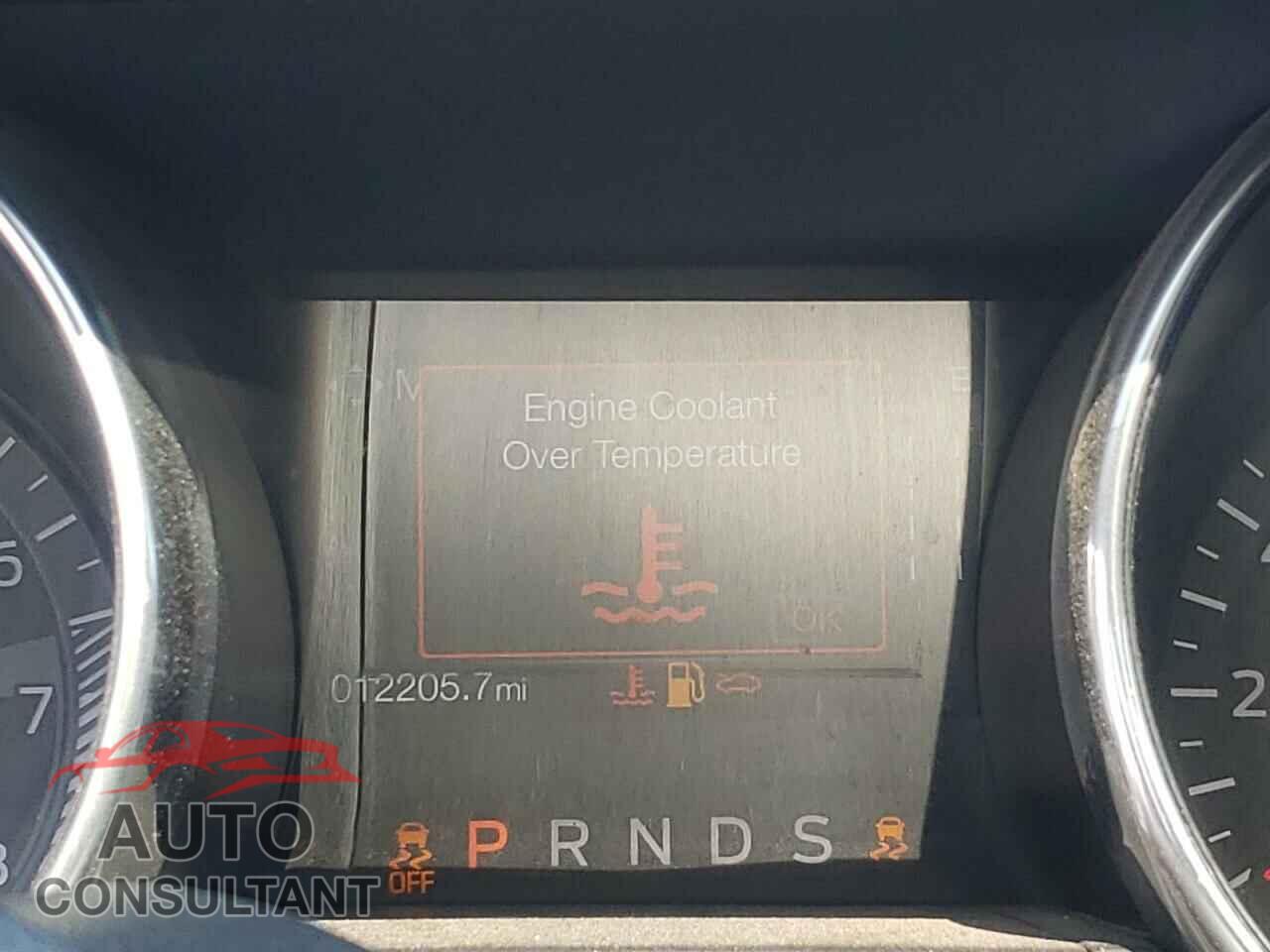 FORD MUSTANG 2021 - 1FA6P8TH5M5110675