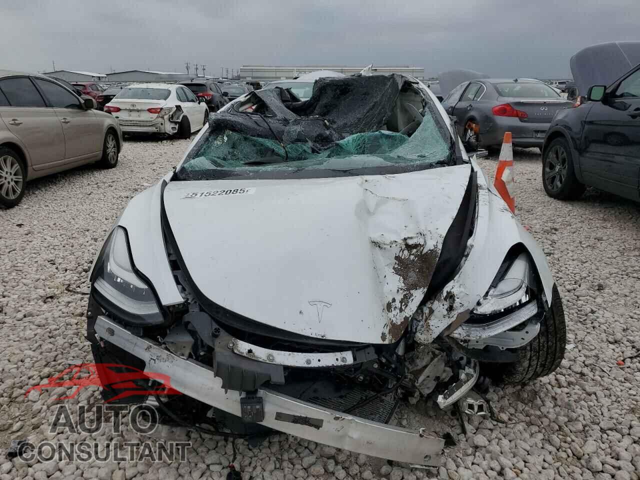 TESLA MODEL 3 2019 - 5YJ3E1EB2KF513401