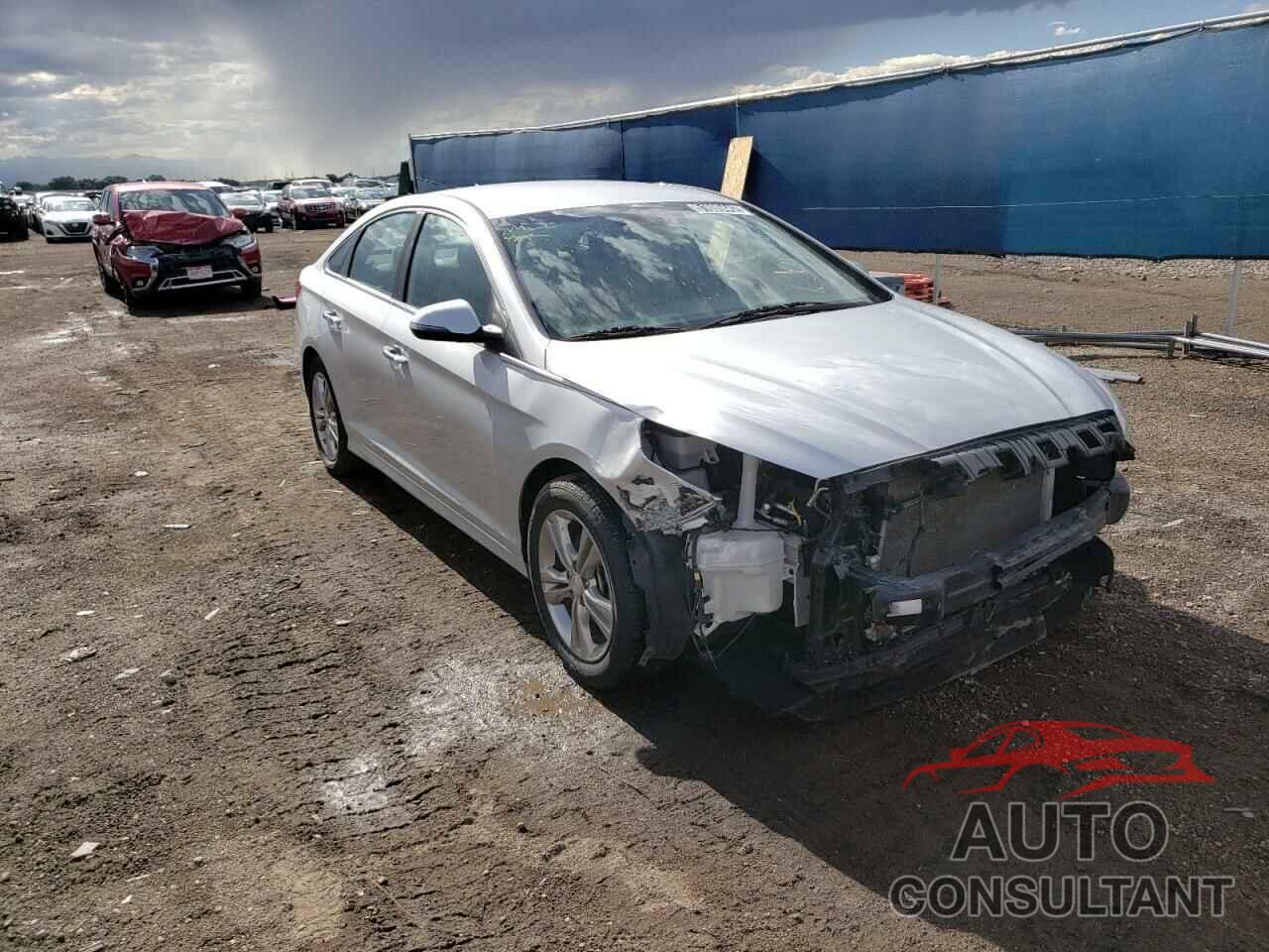 HYUNDAI SONATA 2019 - 5NPE34AF2KH770701