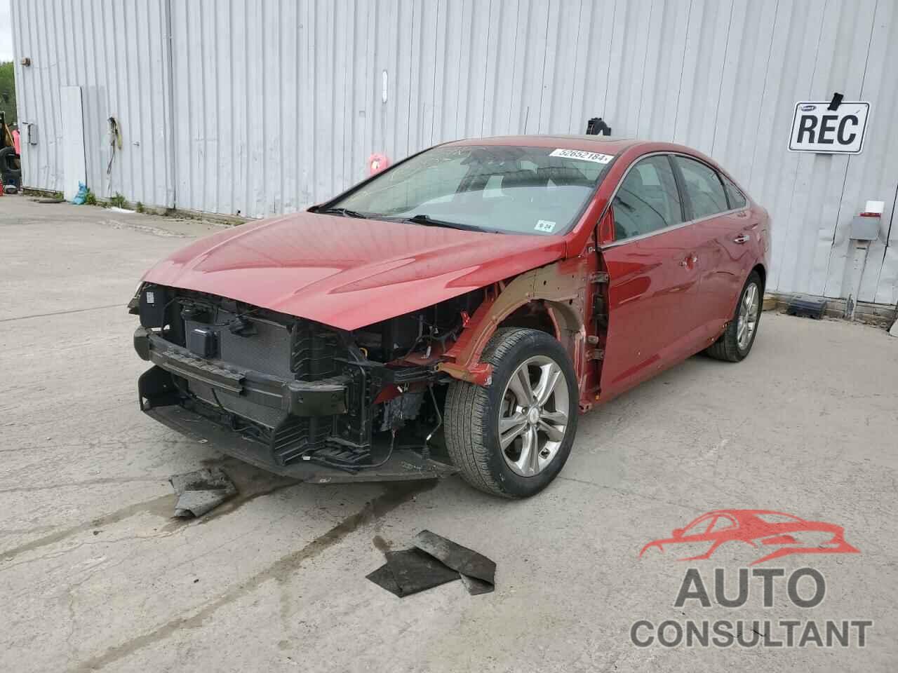 HYUNDAI SONATA 2019 - 5NPE34AF7KH815986