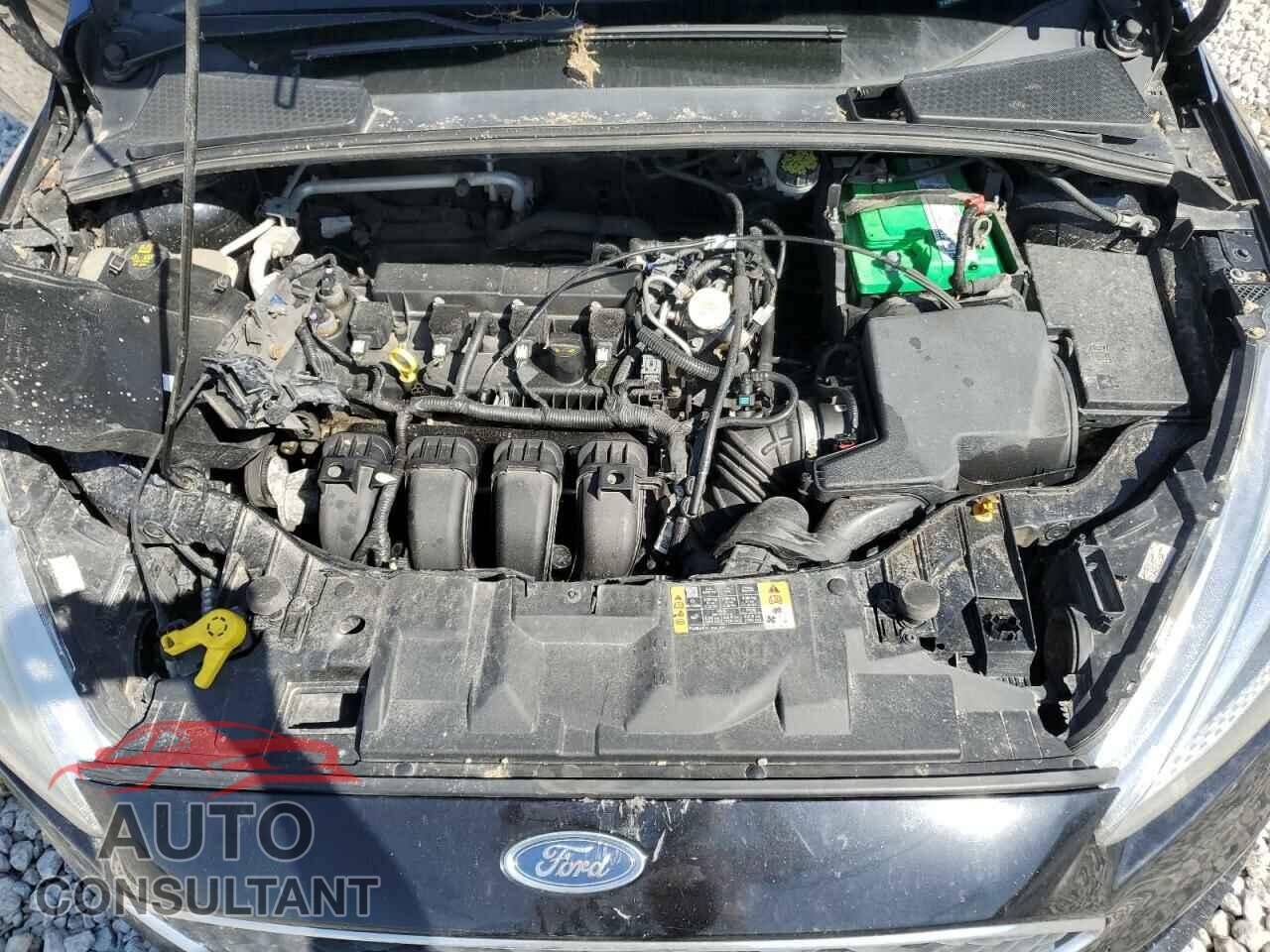 FORD FOCUS 2016 - 1FADP3K29GL378412