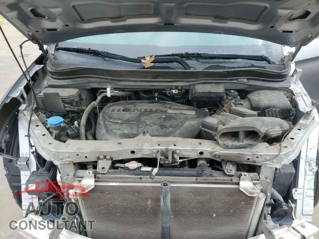 HONDA RIDGELINE 2019 - 5FPYK2F59KB008167
