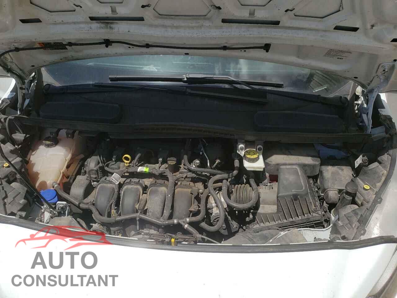FORD TRANSIT 2020 - NM0LS7E24L1477472