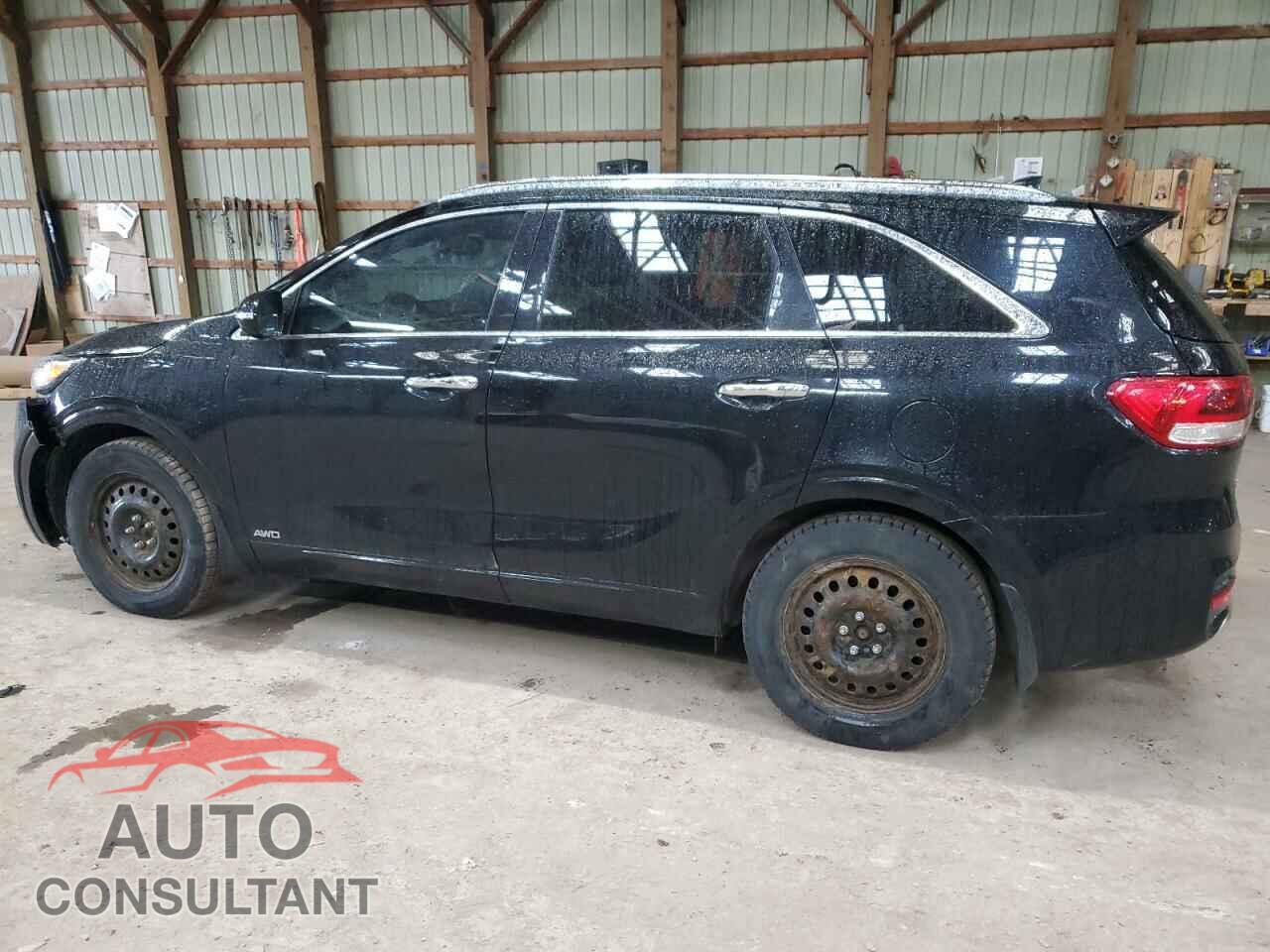 KIA SORENTO 2017 - 5XYPKDA50HG305711