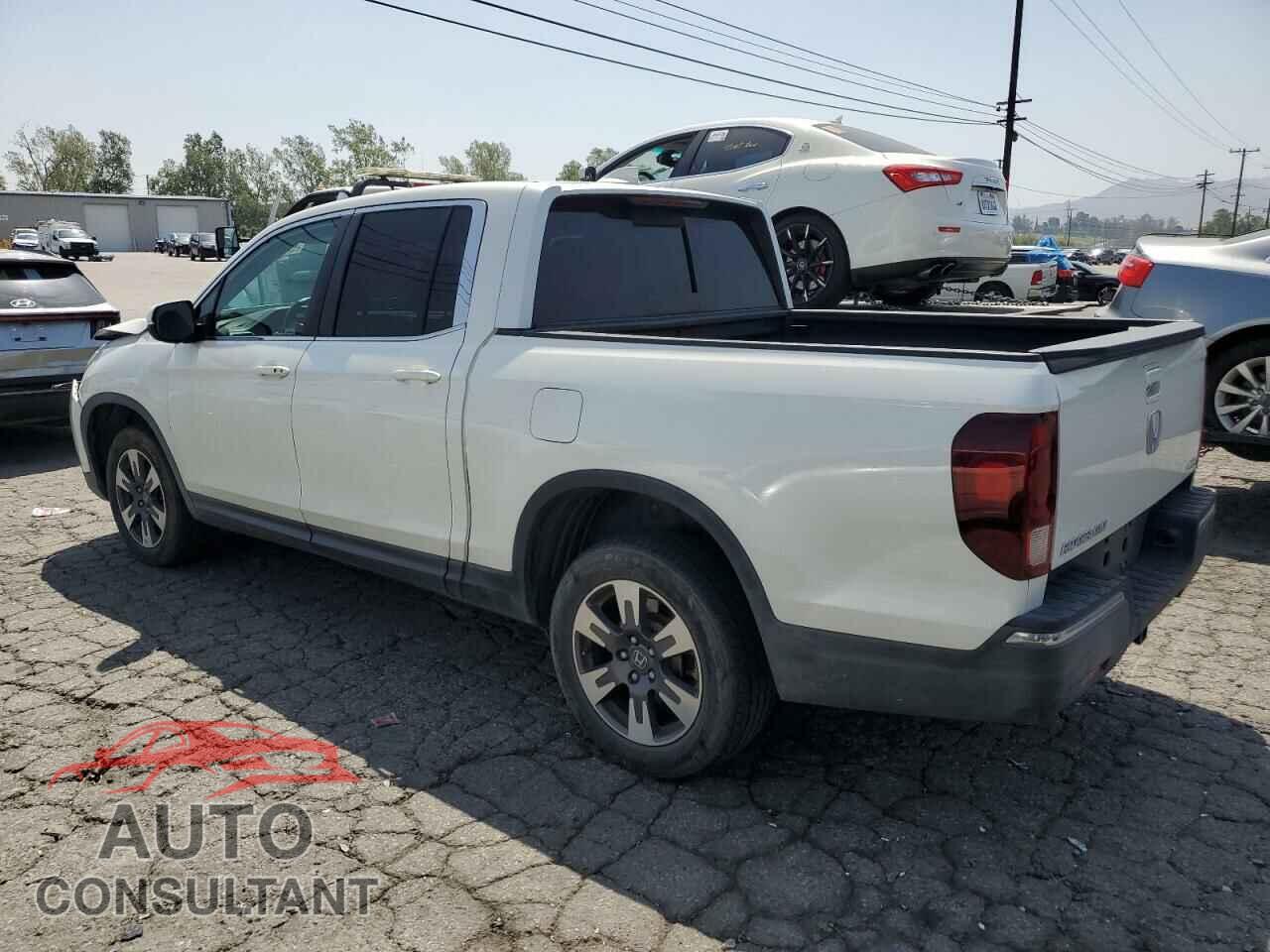 HONDA RIDGELINE 2019 - 5FPYK3F64KB012772