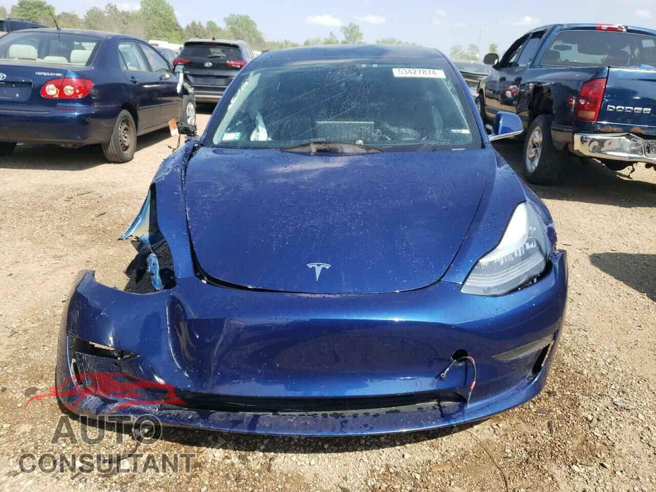 TESLA MODEL 3 2019 - 5YJ3E1EB1KF465065