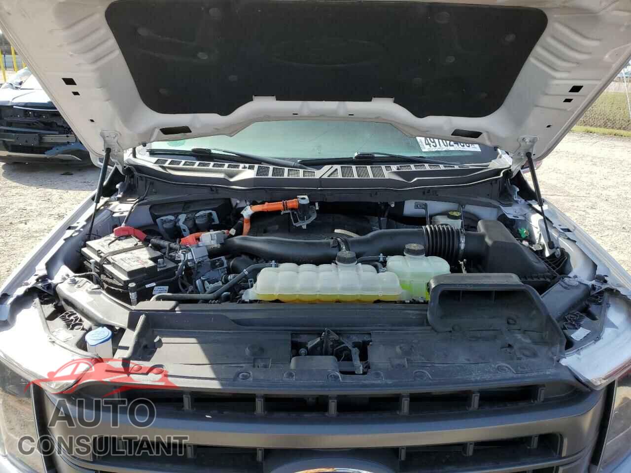 FORD F-150 2023 - 1FTFW1ED1PFA17231