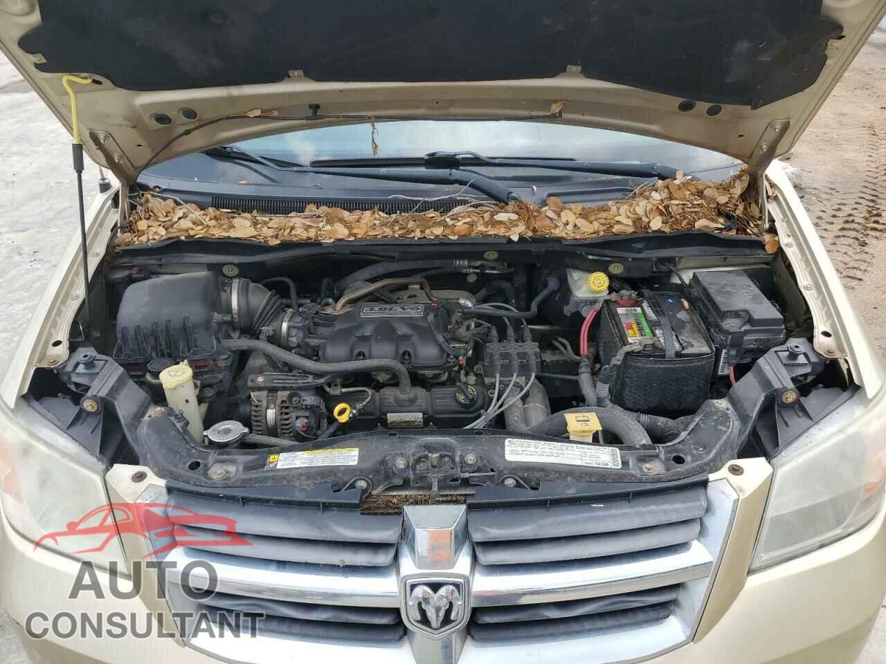 DODGE CARAVAN 2010 - 2D4RN5D12AR197403
