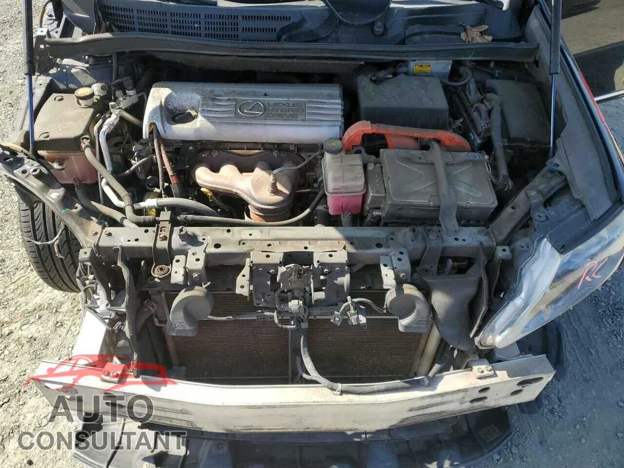 LEXUS HS 2010 - JTHBB1BA5A2010171