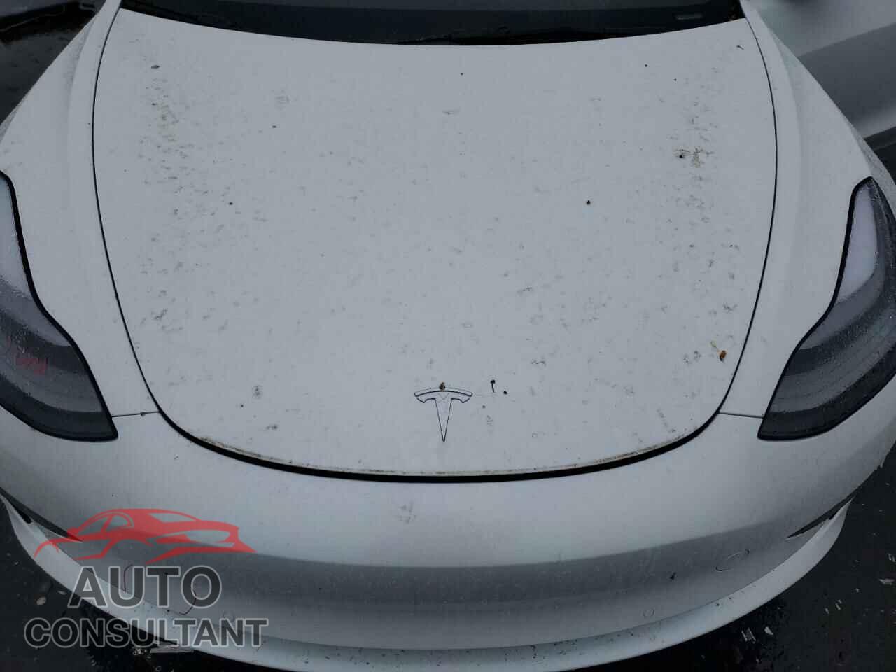 TESLA MODEL 3 2021 - 5YJ3E1EA5MF086337