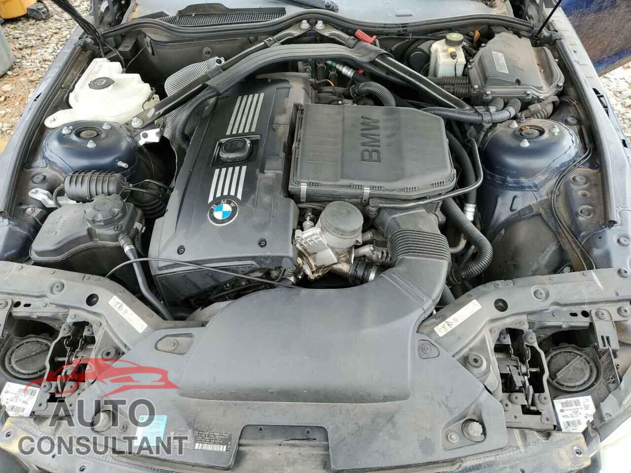 BMW Z4 2009 - WBALM73509E165030