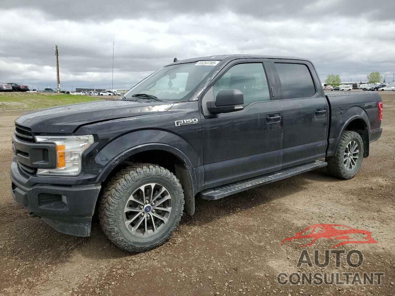 FORD F-150 2019 - 1FTEW1EP0KKD61252