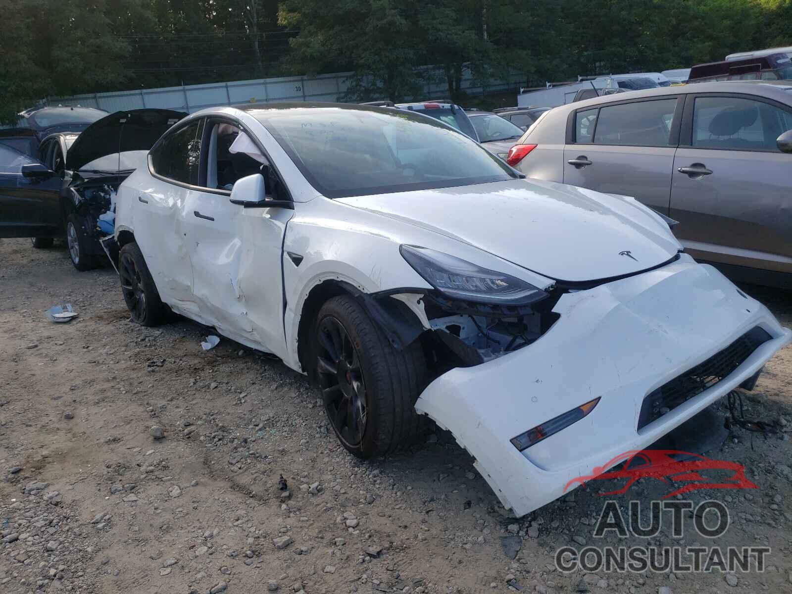 TESLA MODEL Y 2021 - 5YJYGDEEXMF060630