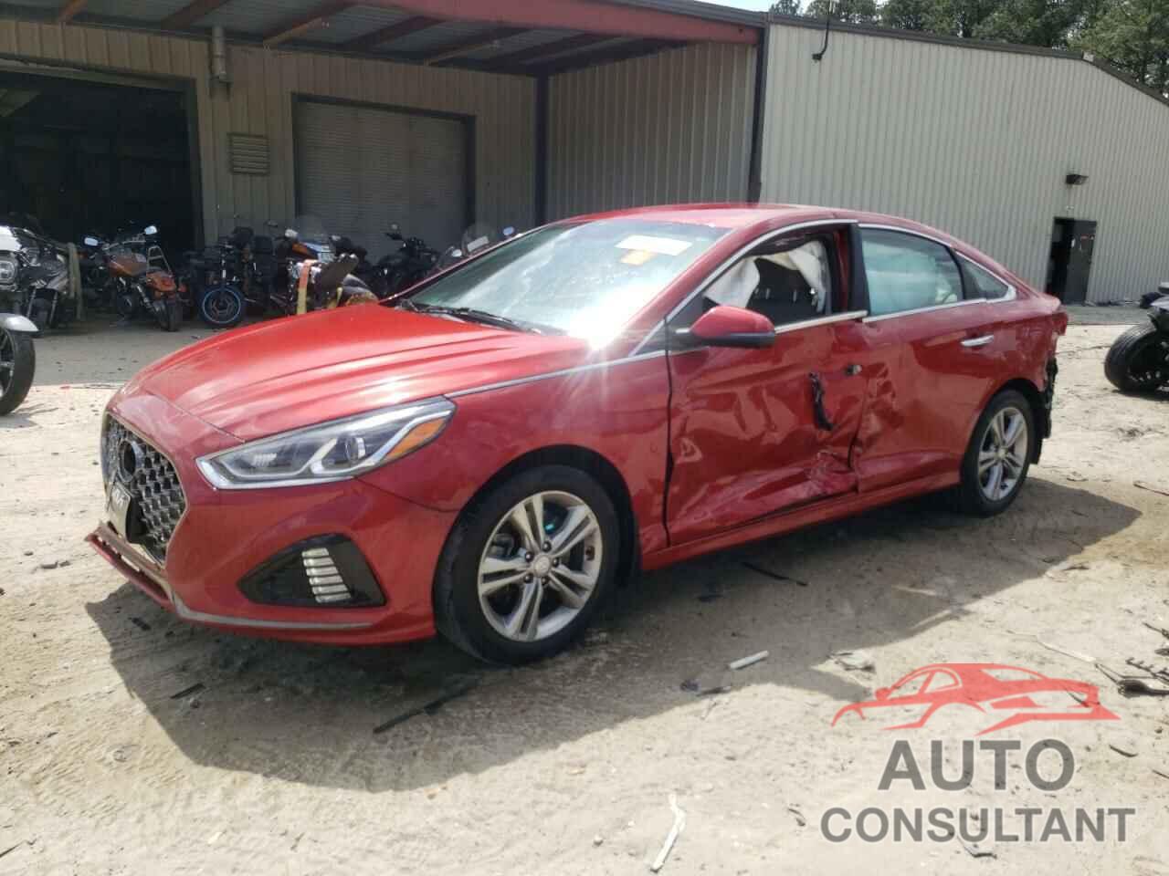 HYUNDAI SONATA 2019 - 5NPE34AF0KH734330