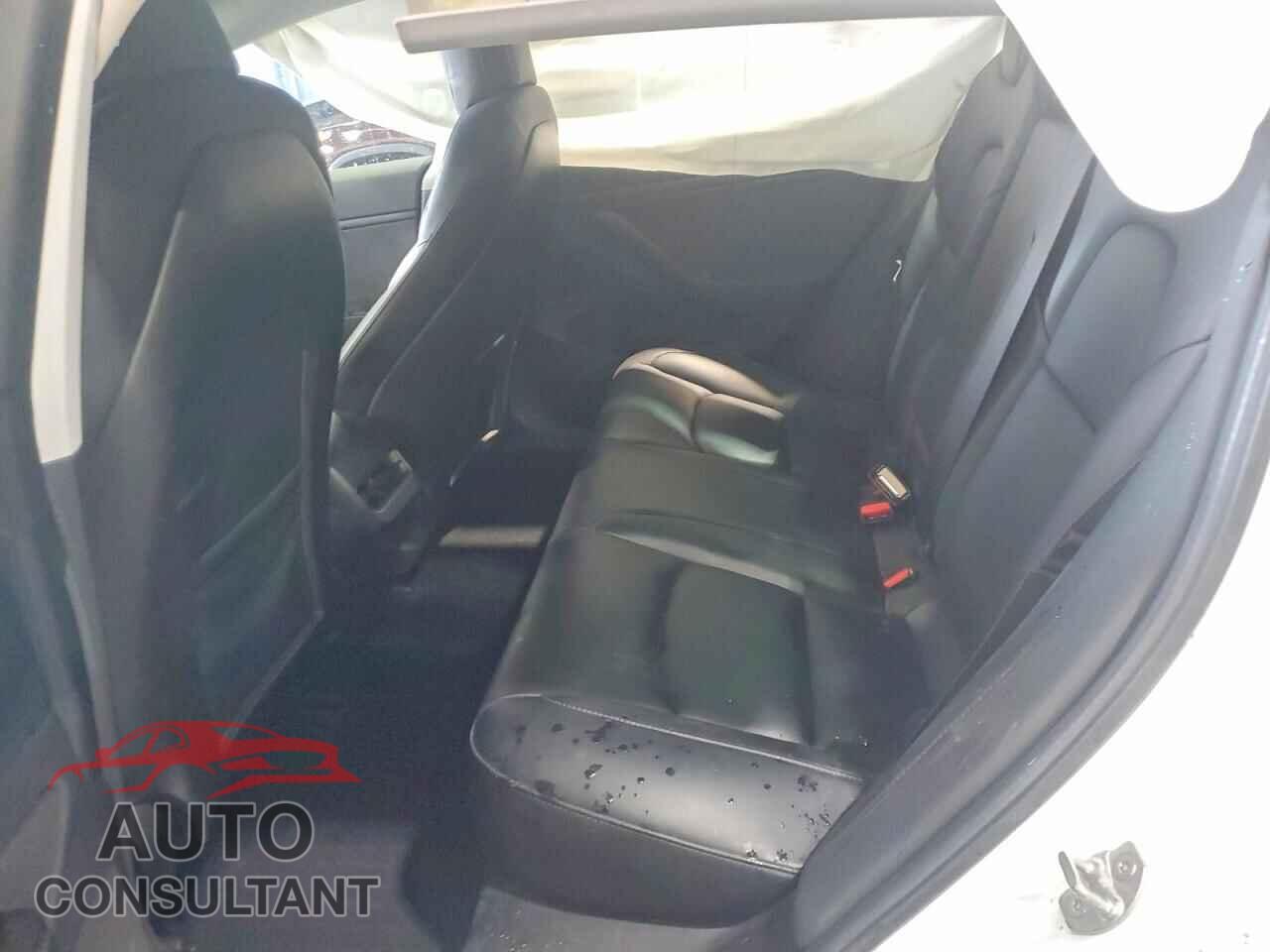 TESLA MODEL 3 2019 - 5YJ3E1EBXKF442299
