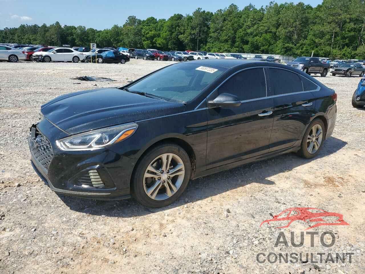HYUNDAI SONATA 2019 - 5NPE34AF3KH770738