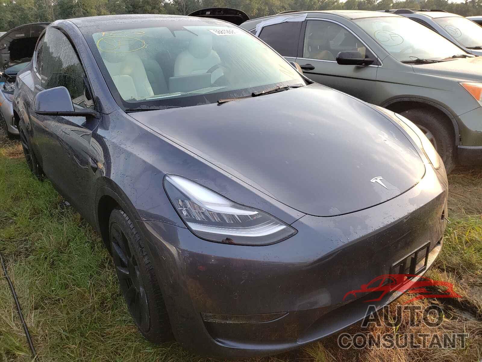 TESLA MODEL Y 2021 - 5YJYGDEE5MF108535
