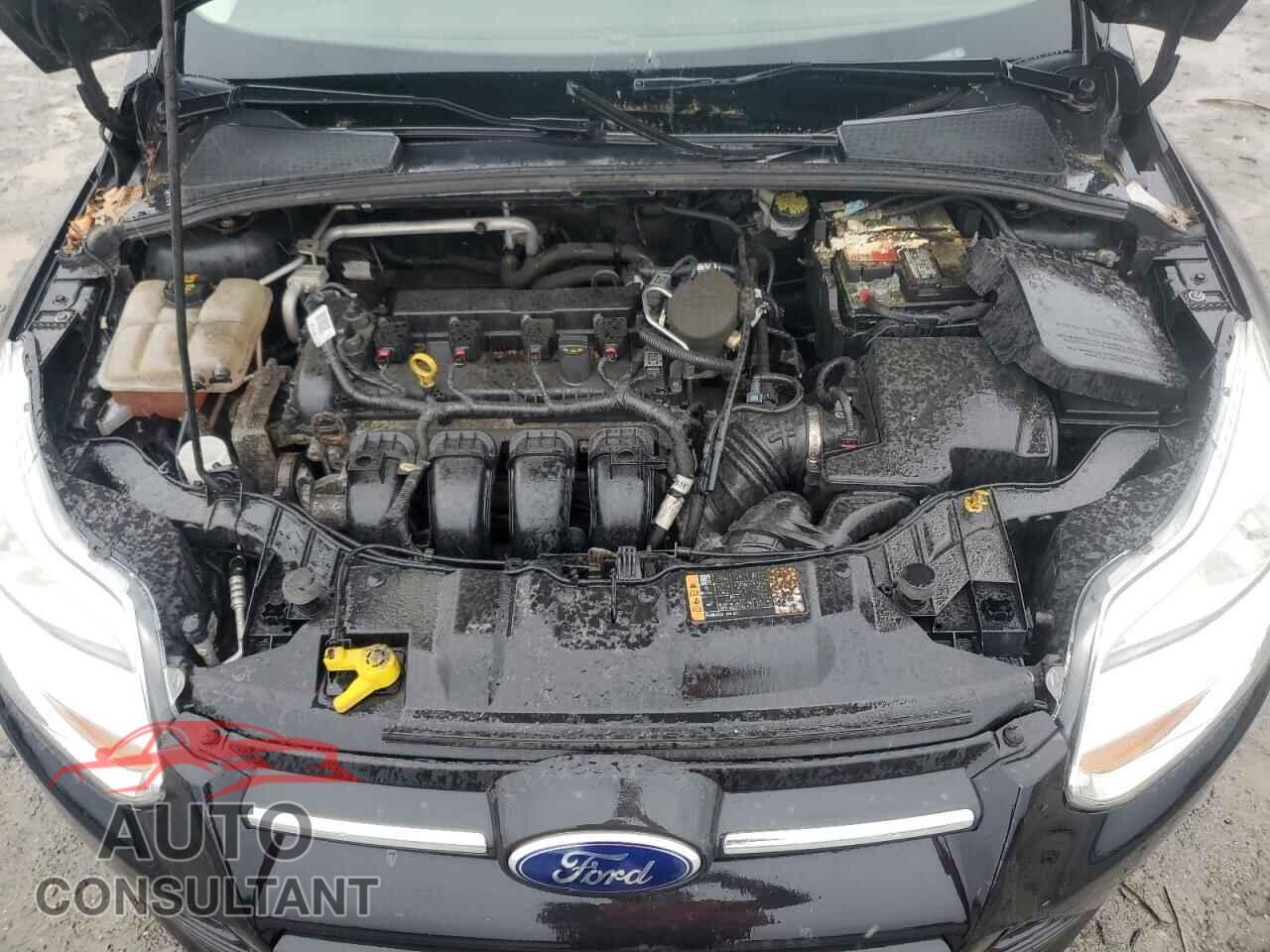 FORD FOCUS 2014 - 1FADP3F20EL445583