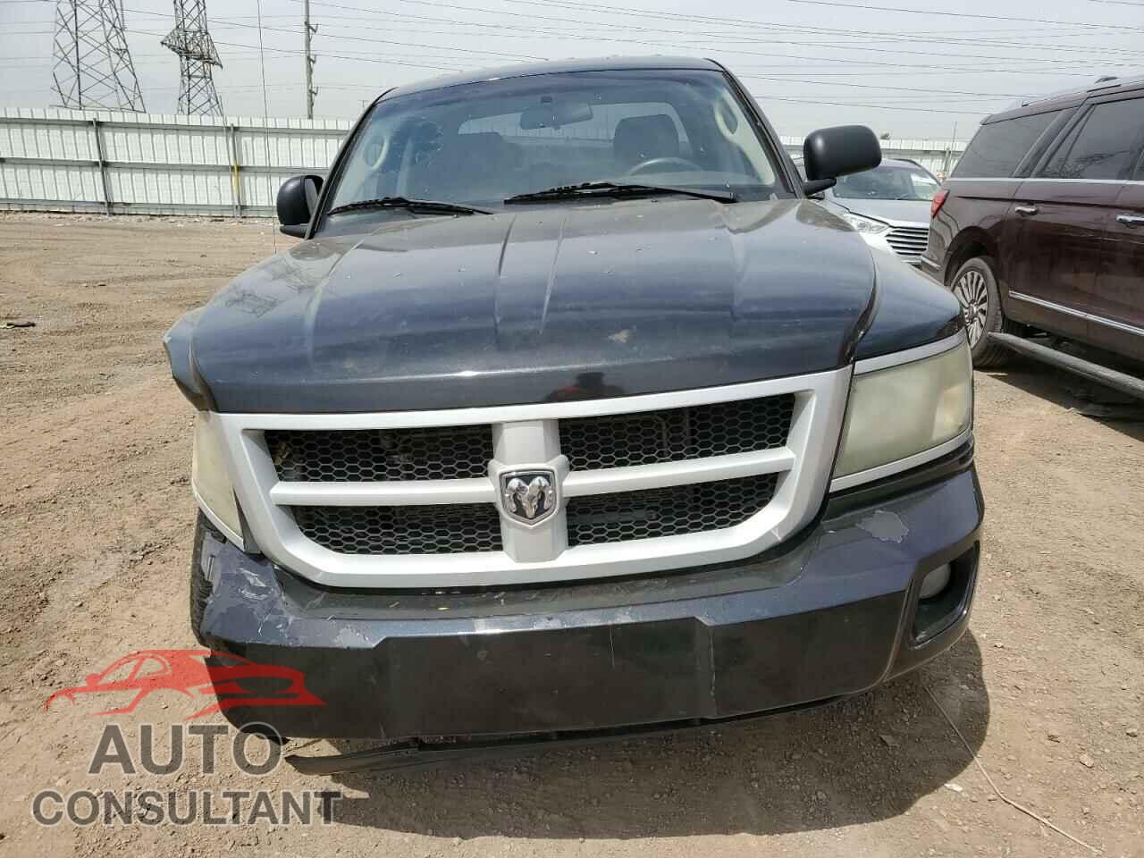DODGE DAKOTA 2010 - 1D7CE3GK9AS212902