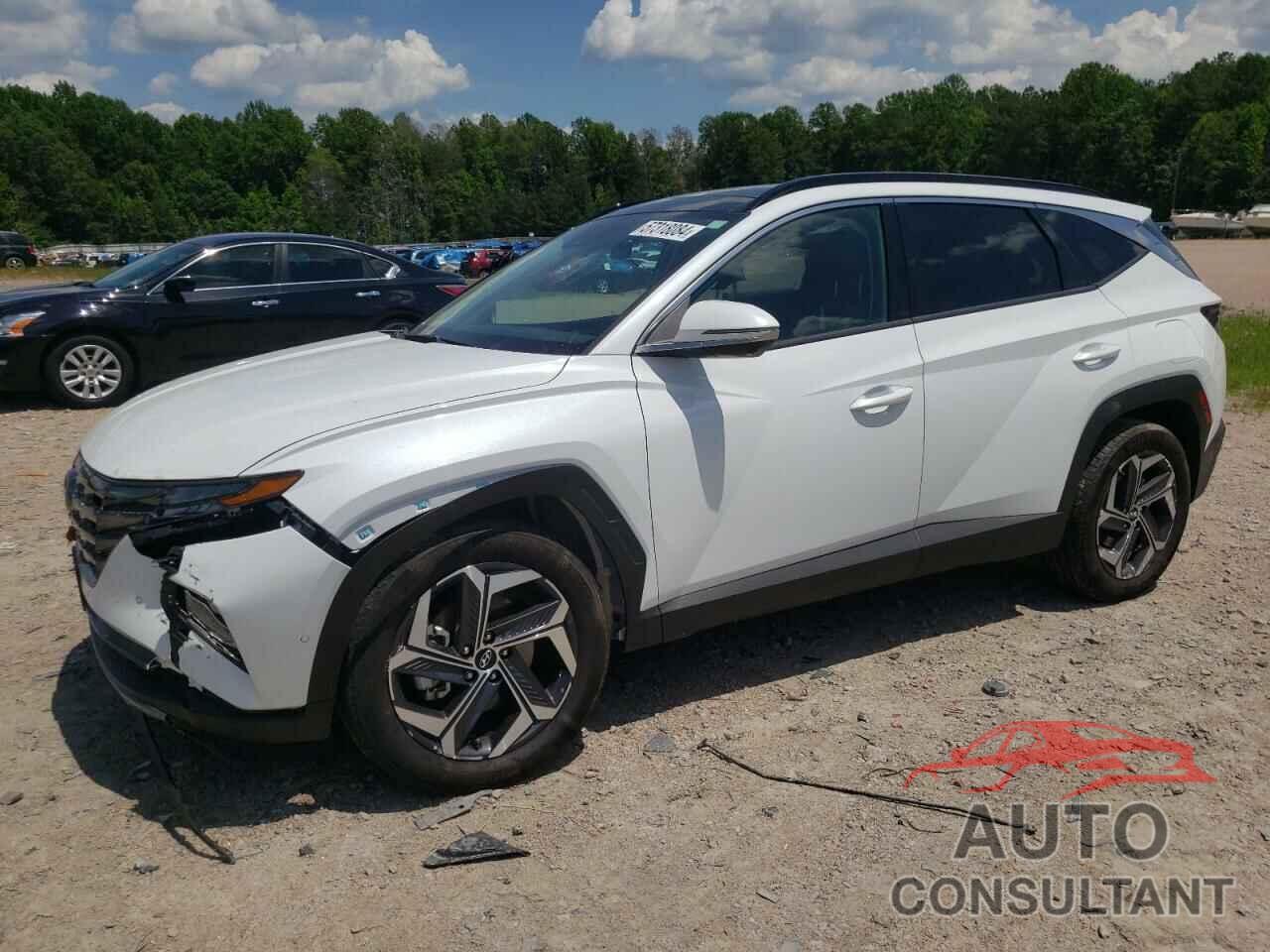 HYUNDAI TUCSON 2024 - KM8JECD12RU146721