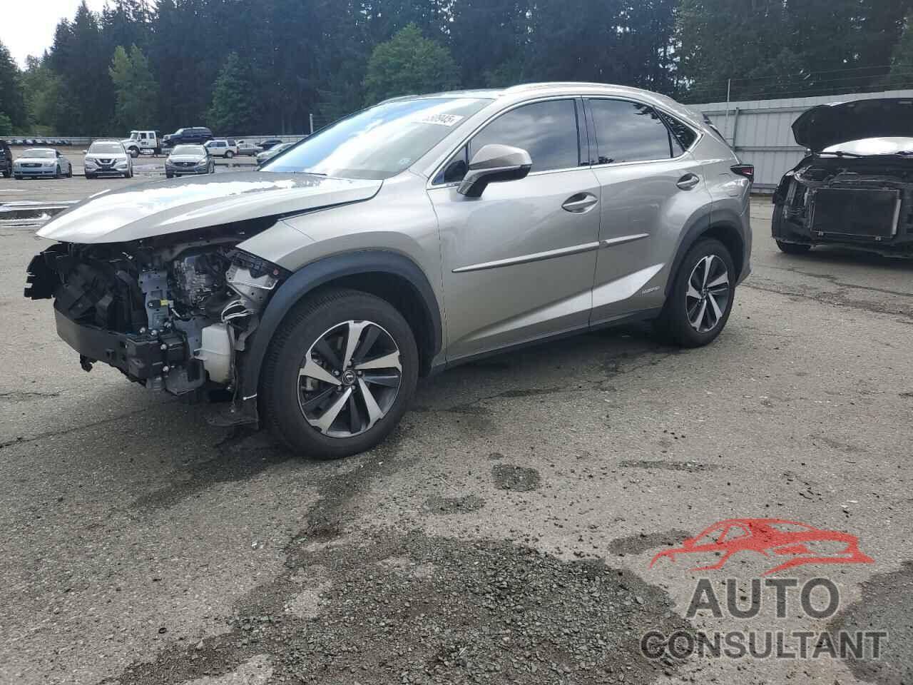 LEXUS NX 2021 - JTJGJRDZ2M2167458