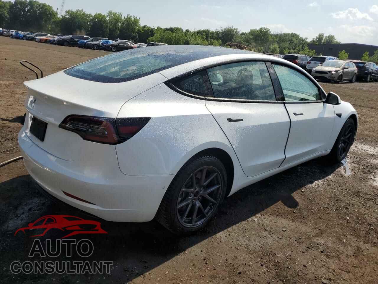 TESLA MODEL 3 2022 - 5YJ3E1EA2NF101930
