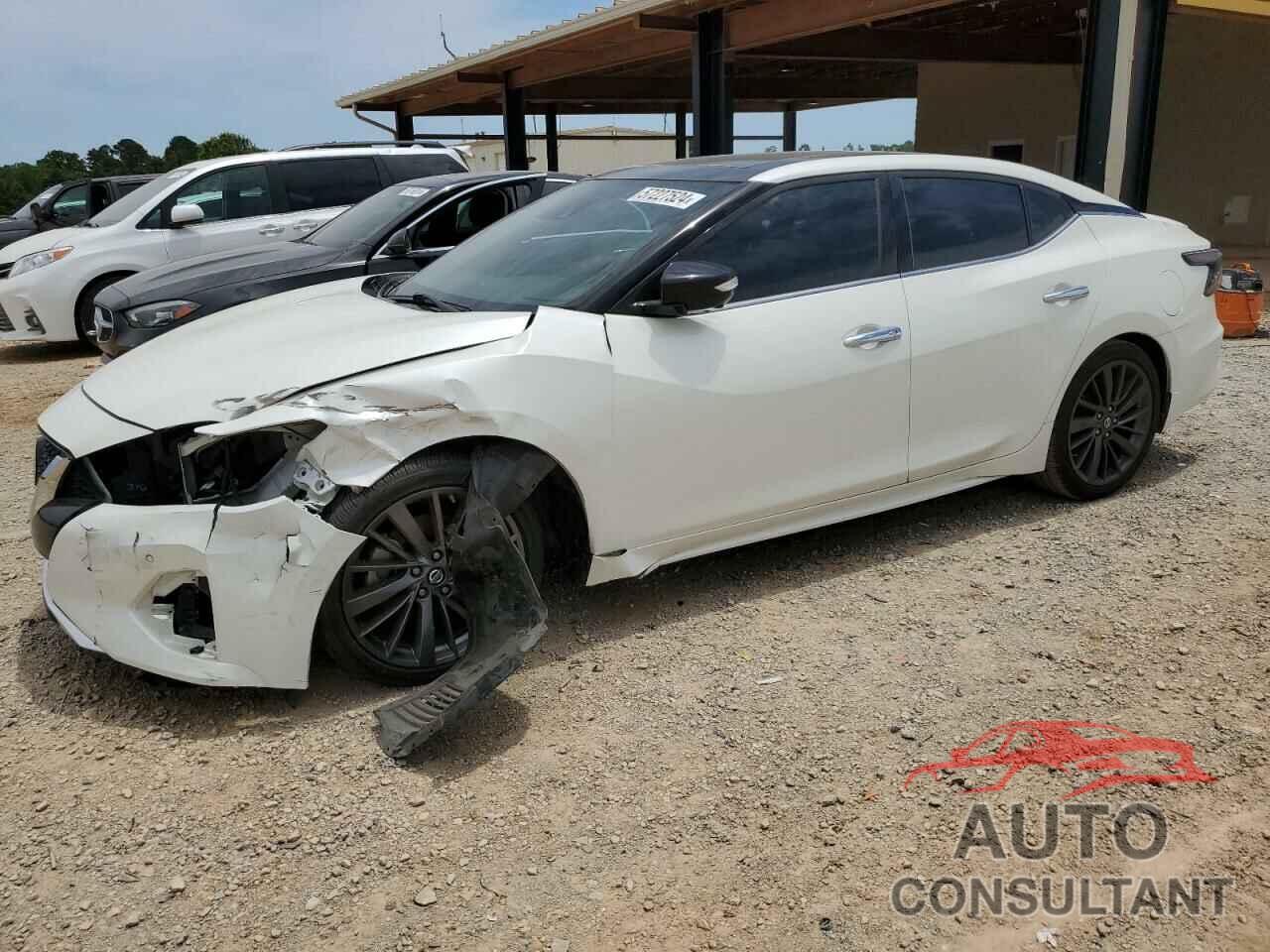 NISSAN MAXIMA 2019 - 1N4AA6AV7KC362929