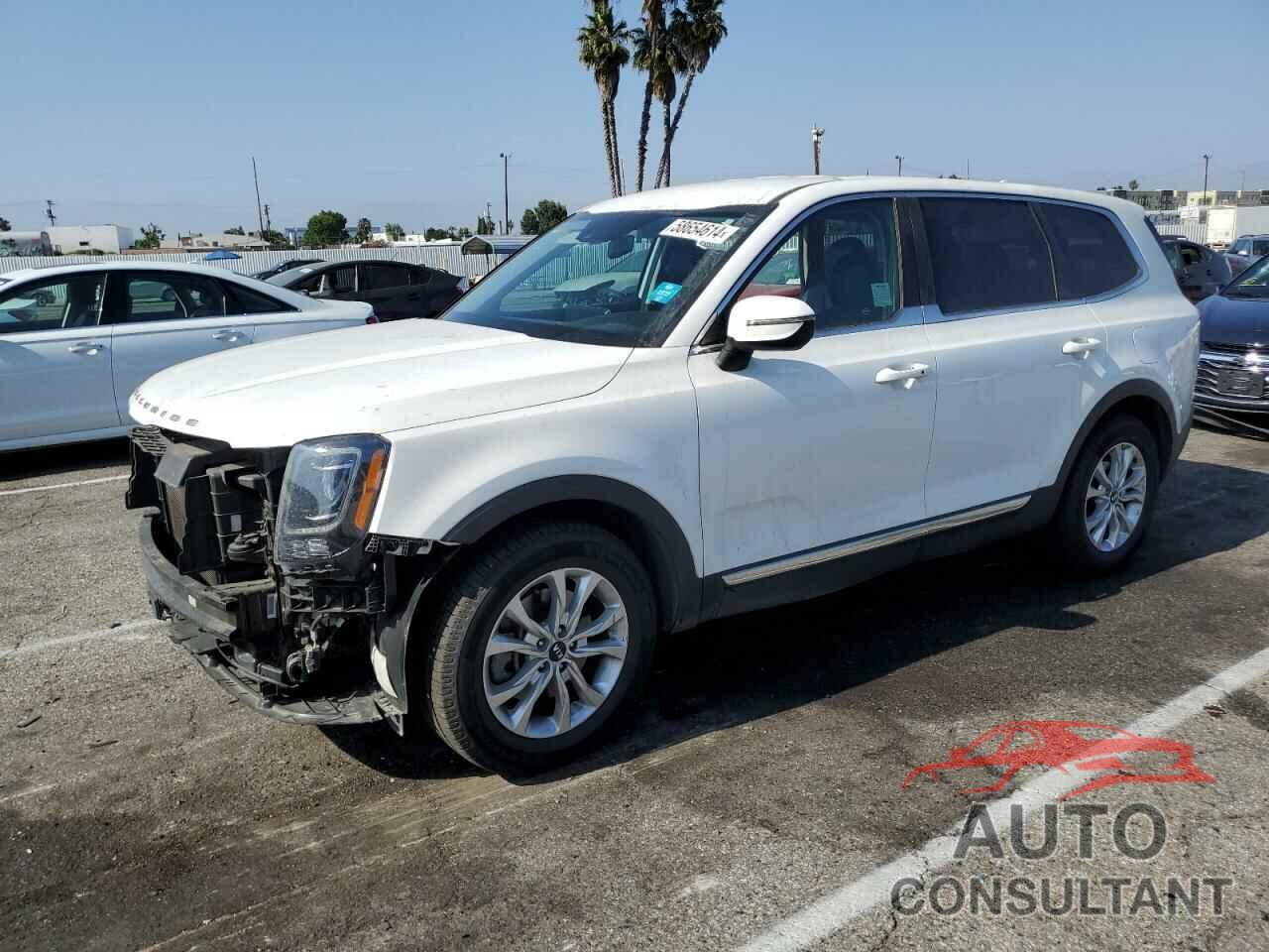 KIA TELLURIDE 2020 - 5XYP24HC6LG092860