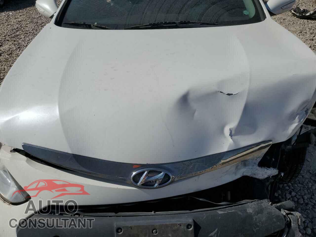 HYUNDAI SONATA 2012 - KMHEC4A42CA030827