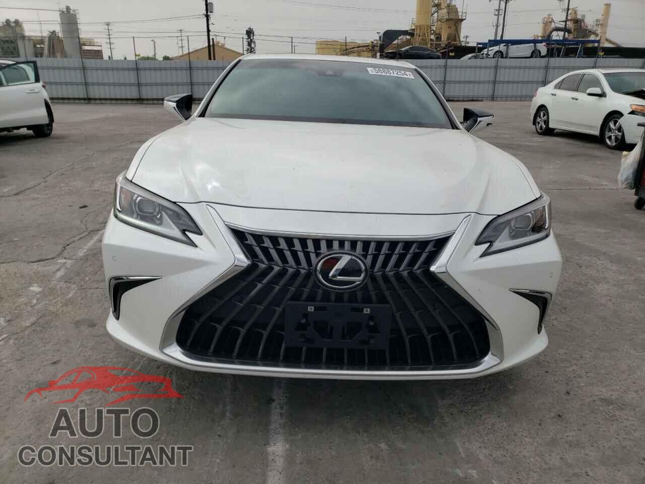 LEXUS ES300 2024 - 58ADA1C19RU041942