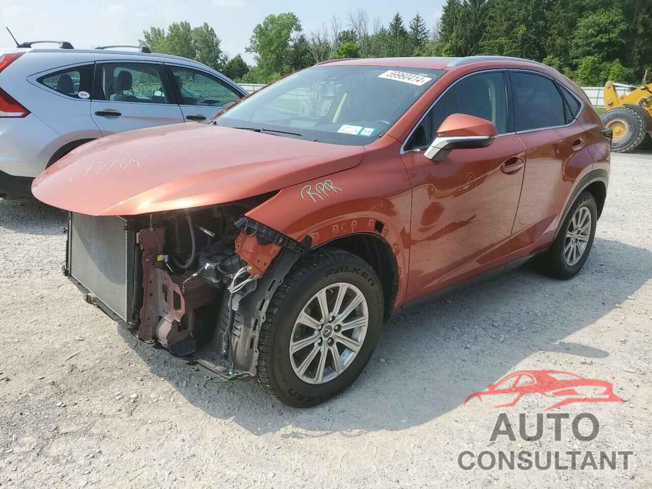 LEXUS NX 2020 - JTJDARDZ2L2226994