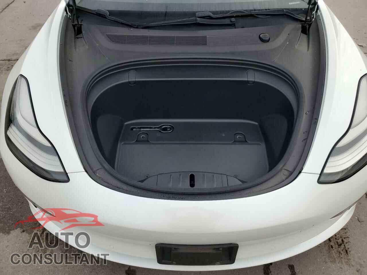 TESLA MODEL 3 2019 - 5YJ3E1EA1KF447835