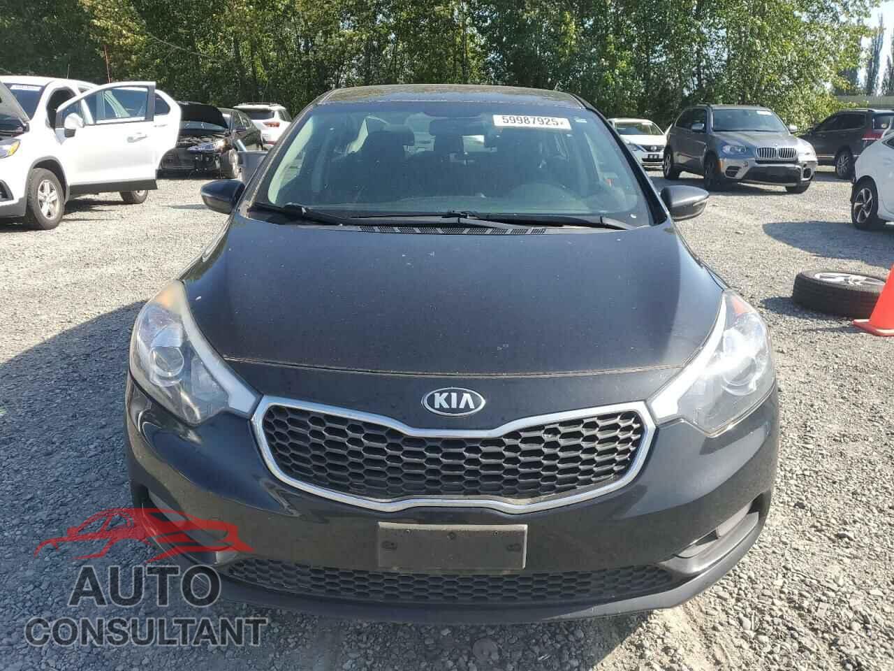 KIA FORTE 2016 - KNAFX4A69G5455729