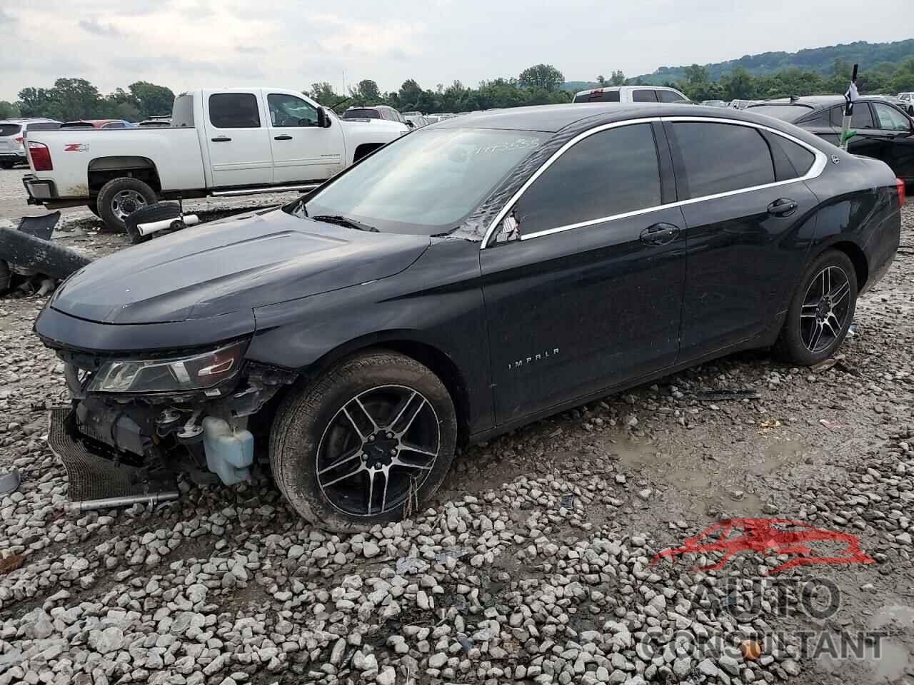 CHEVROLET IMPALA 2019 - 1G11Z5S36KU110361