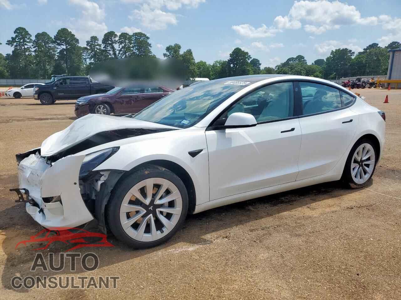 TESLA MODEL 3 2021 - 5YJ3E1EA9MF073459