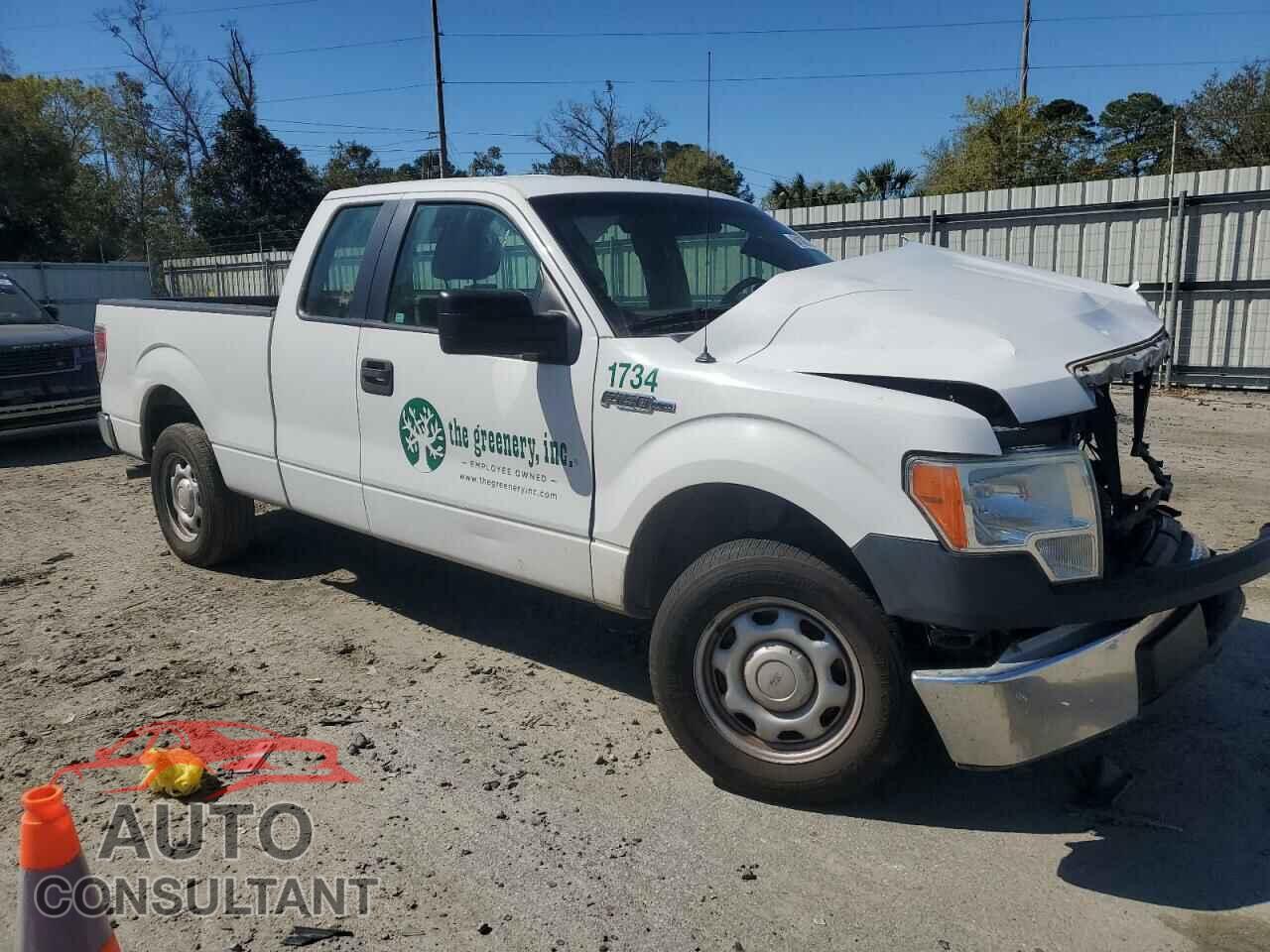 FORD F-150 2014 - 1FTFX1CF9EFB33176